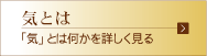 �C�Ƃ́H���{���� ��䓹�w�@